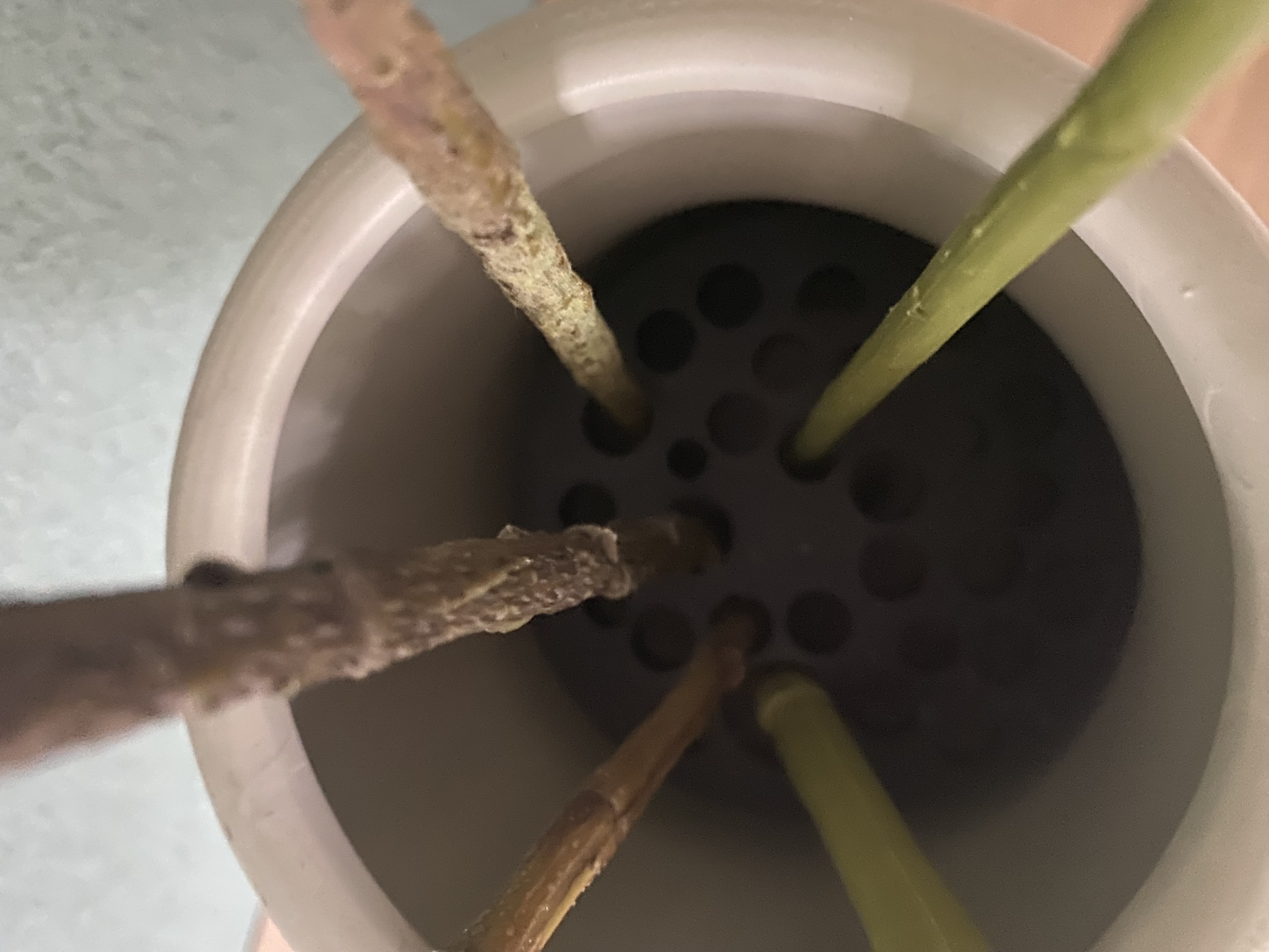 Vase insert for dry / artificial flowers