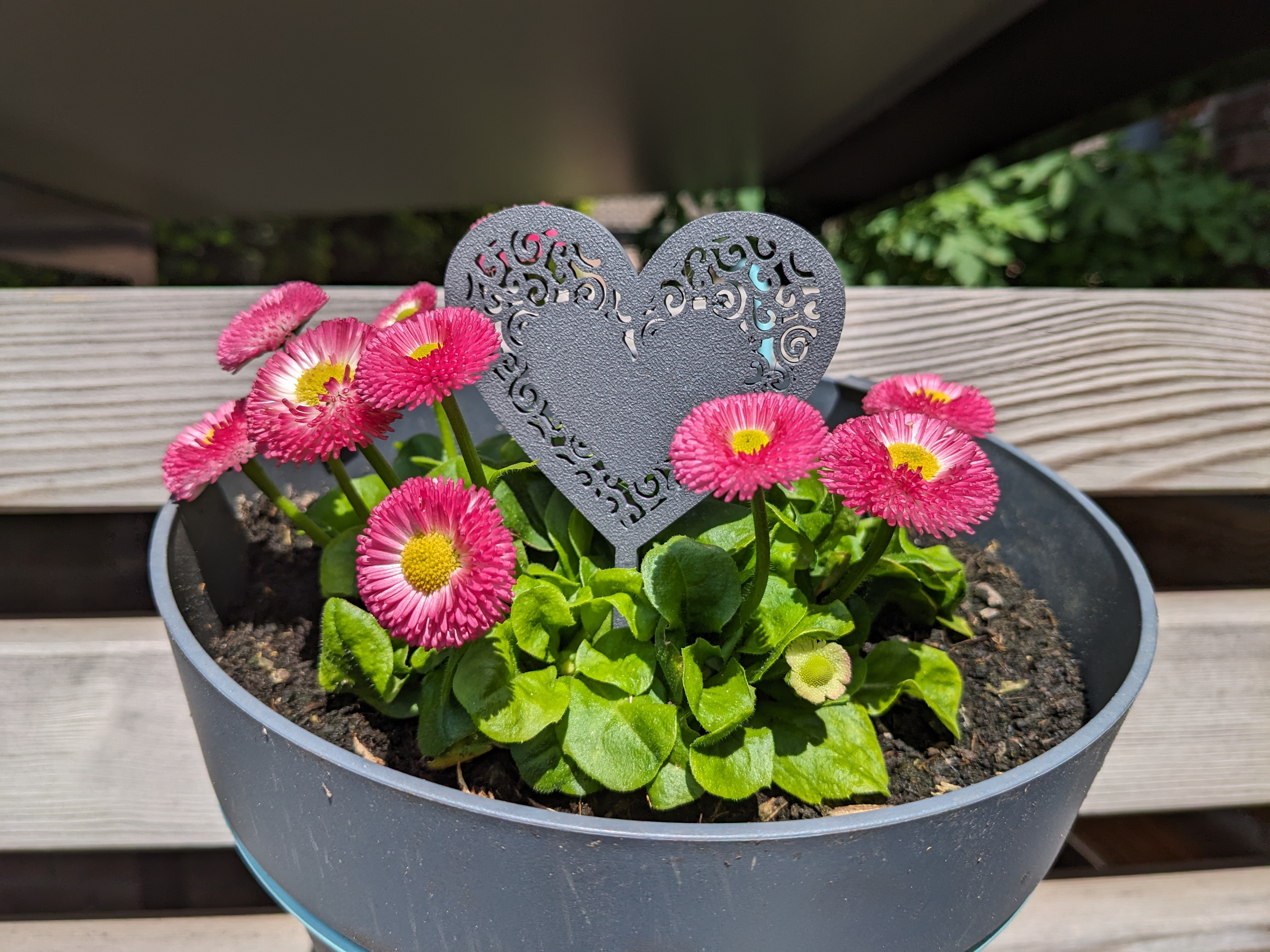 Heart Cake Topper / Plant Stake