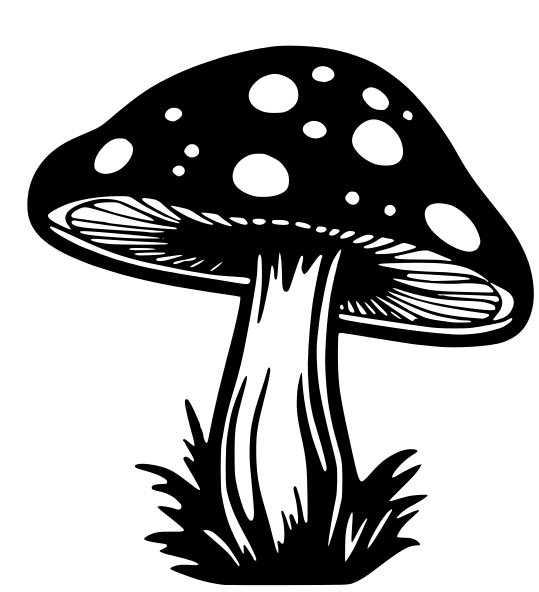 Mushroom Wall Art