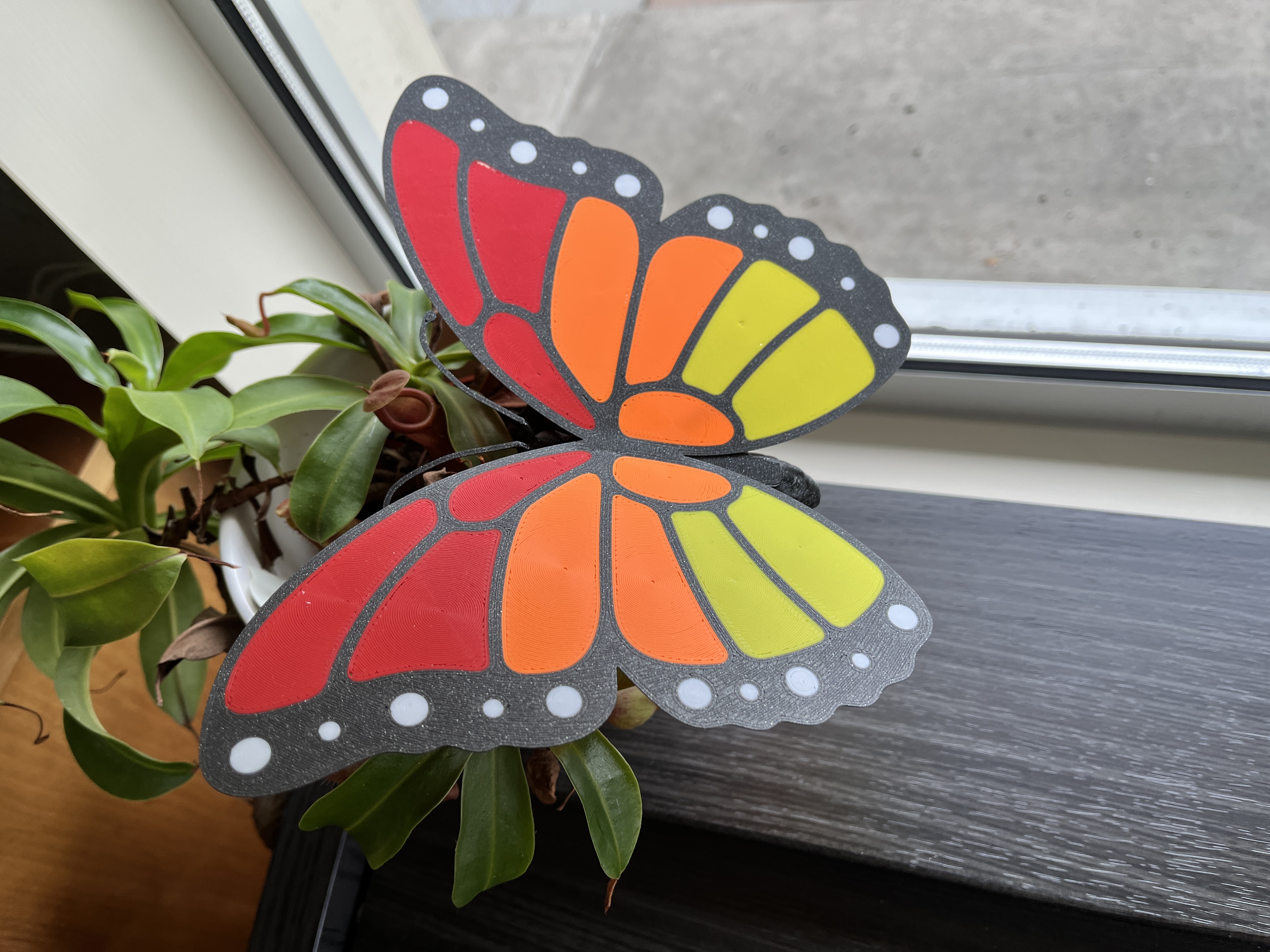 Beautiful Butterfly