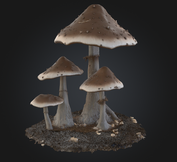 Tall Mushroom Prop TTRPG