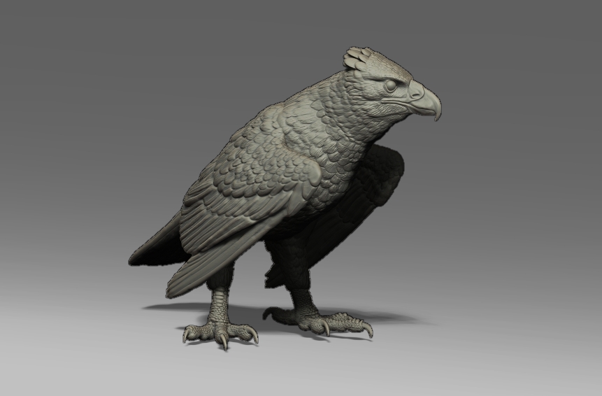 Haast Eagle Sculpture