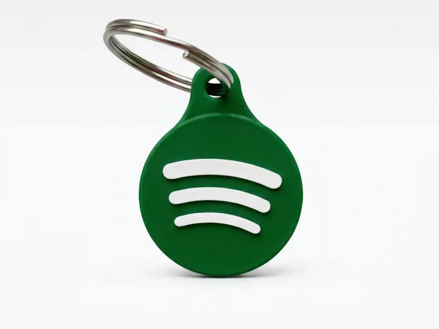 Spotify Keychain