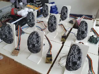 Neurosurgery Simulator v1