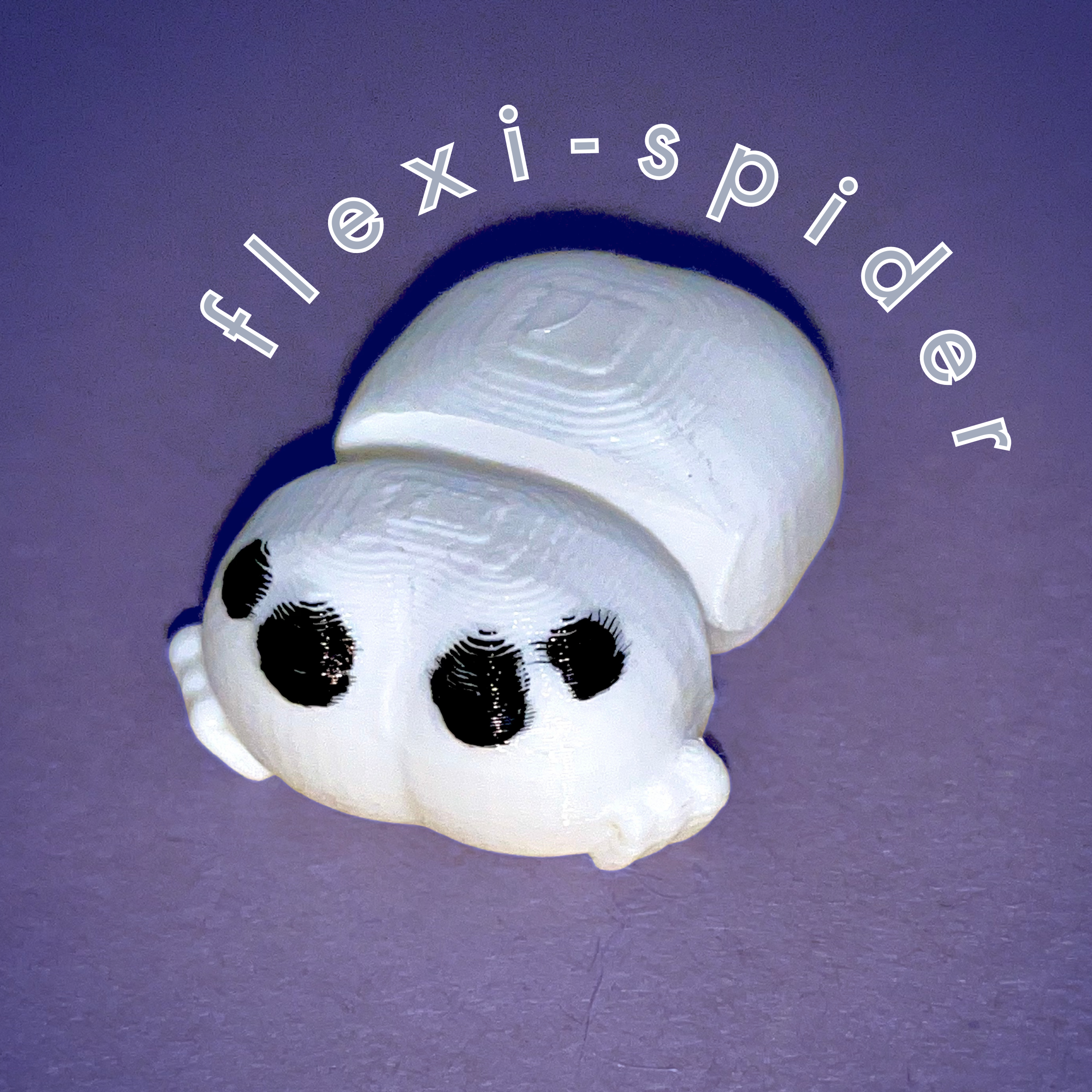 Flexi Spider