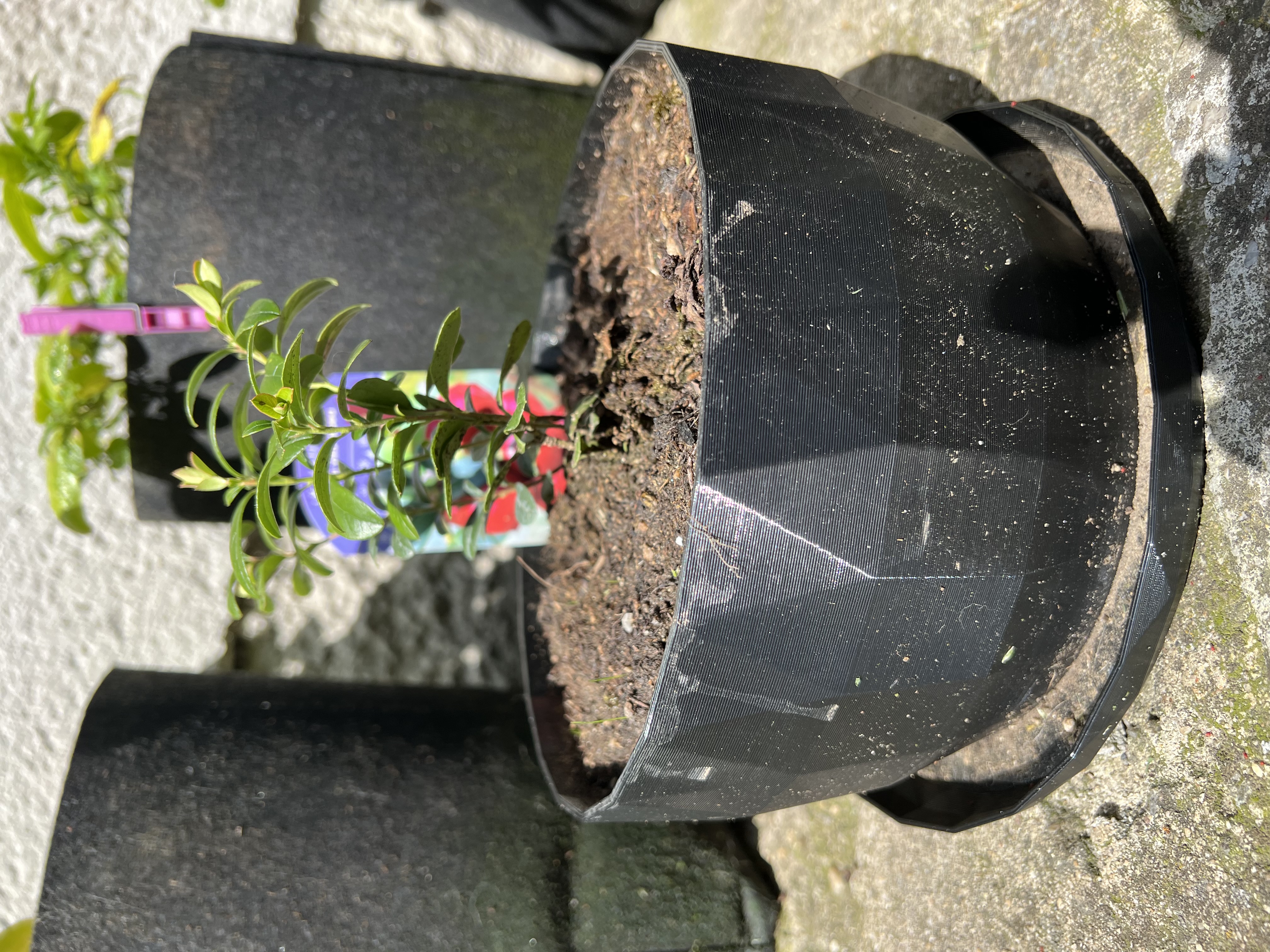 Větší miska na rostlinky - Larger bowl for plants