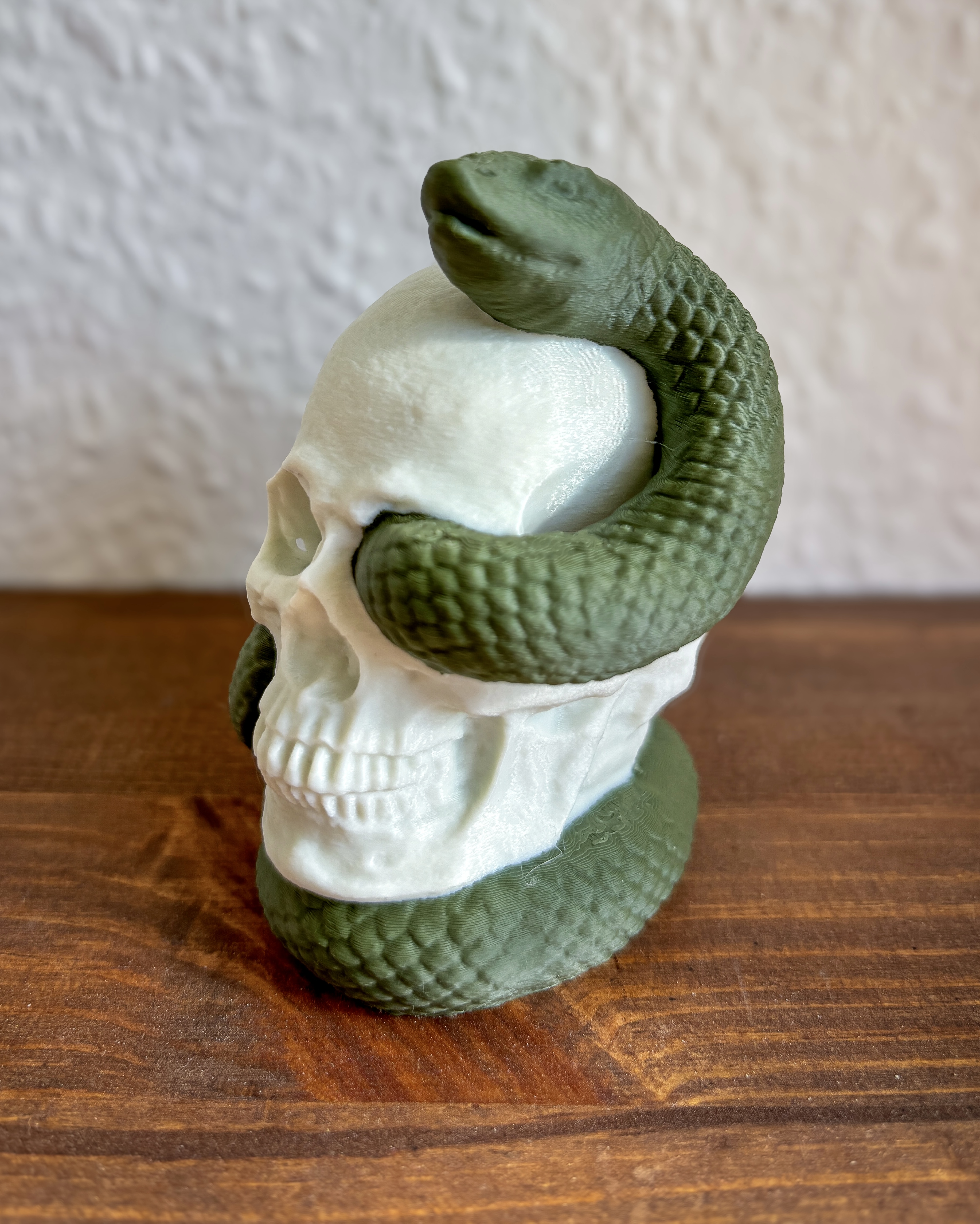 Miniatura 3 do modelo 3D Snake Skull