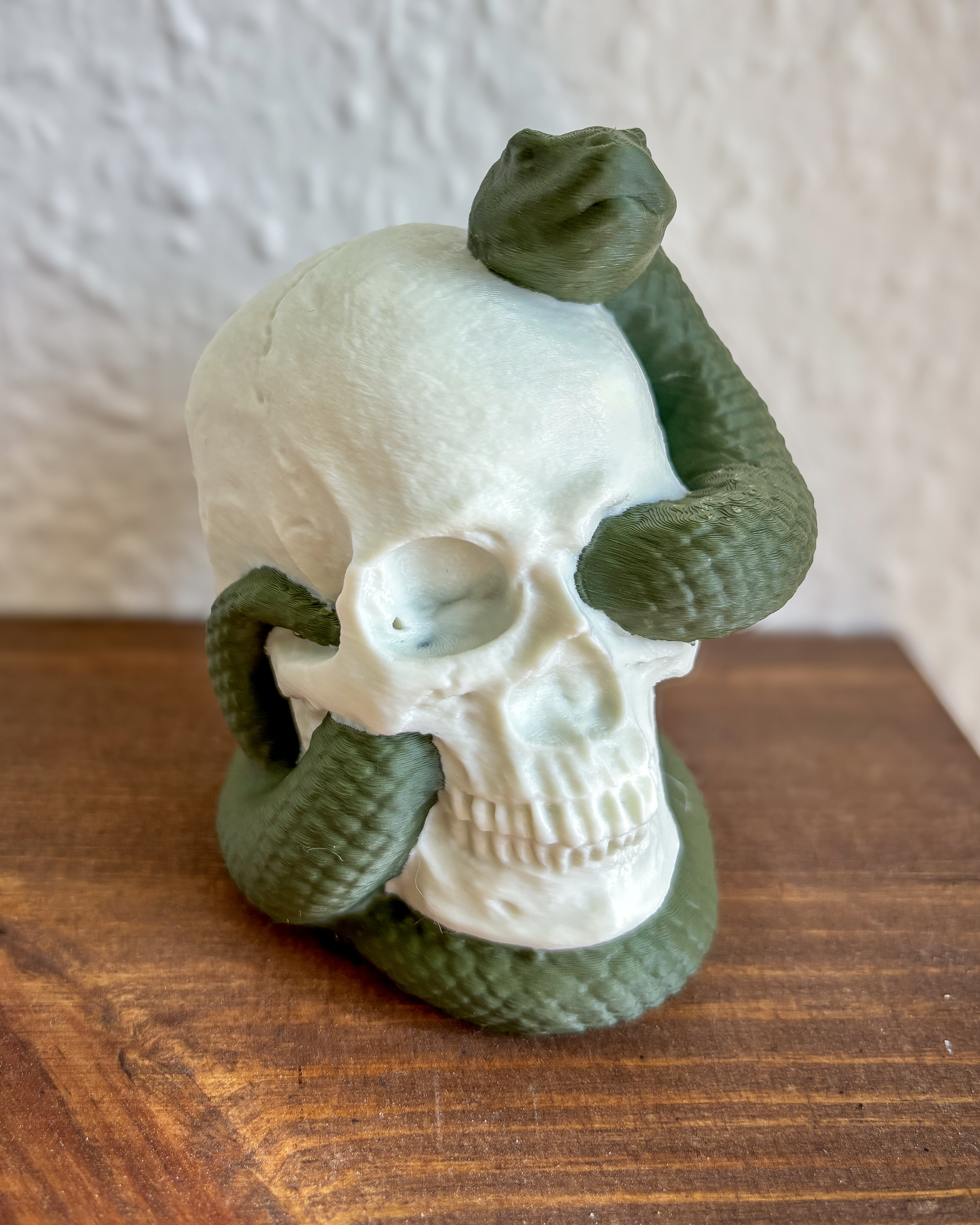 Snake Skull