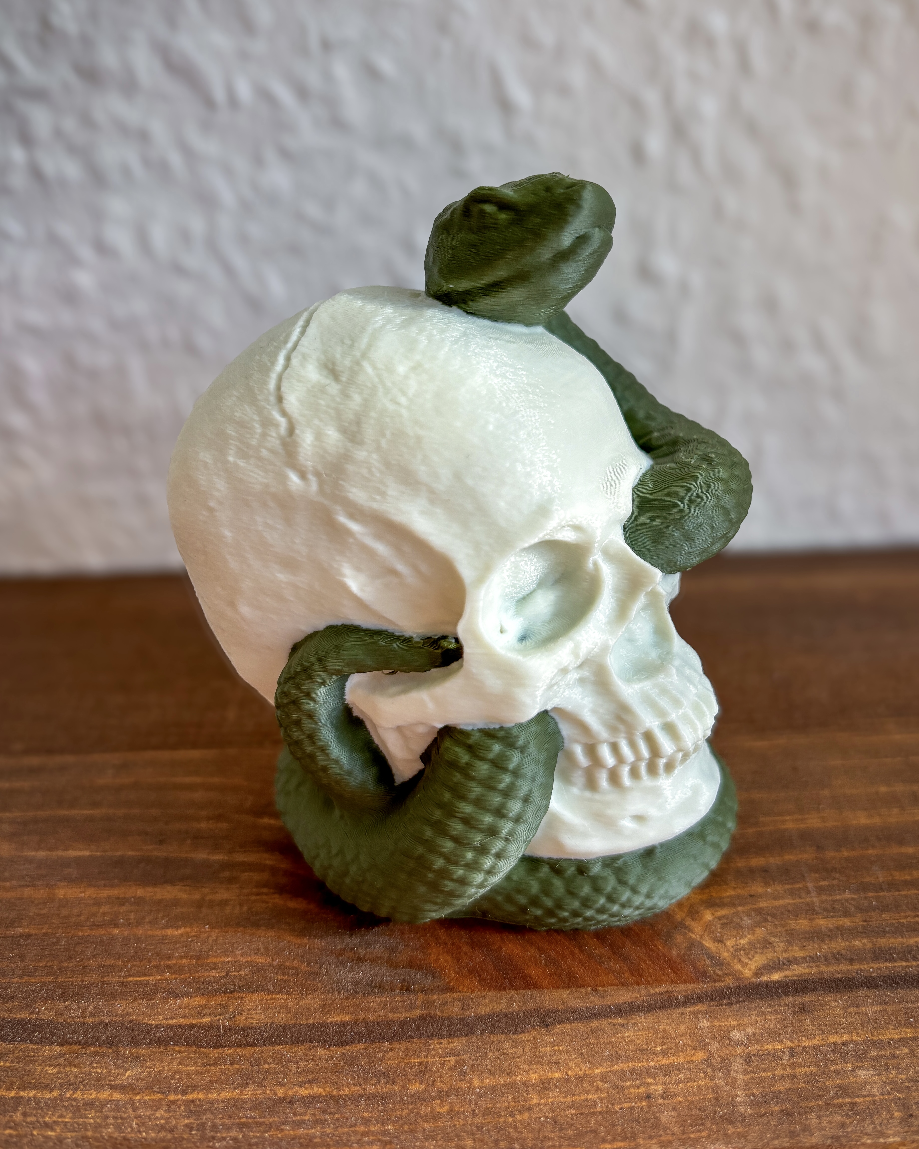 Miniatura 4 do modelo 3D Snake Skull