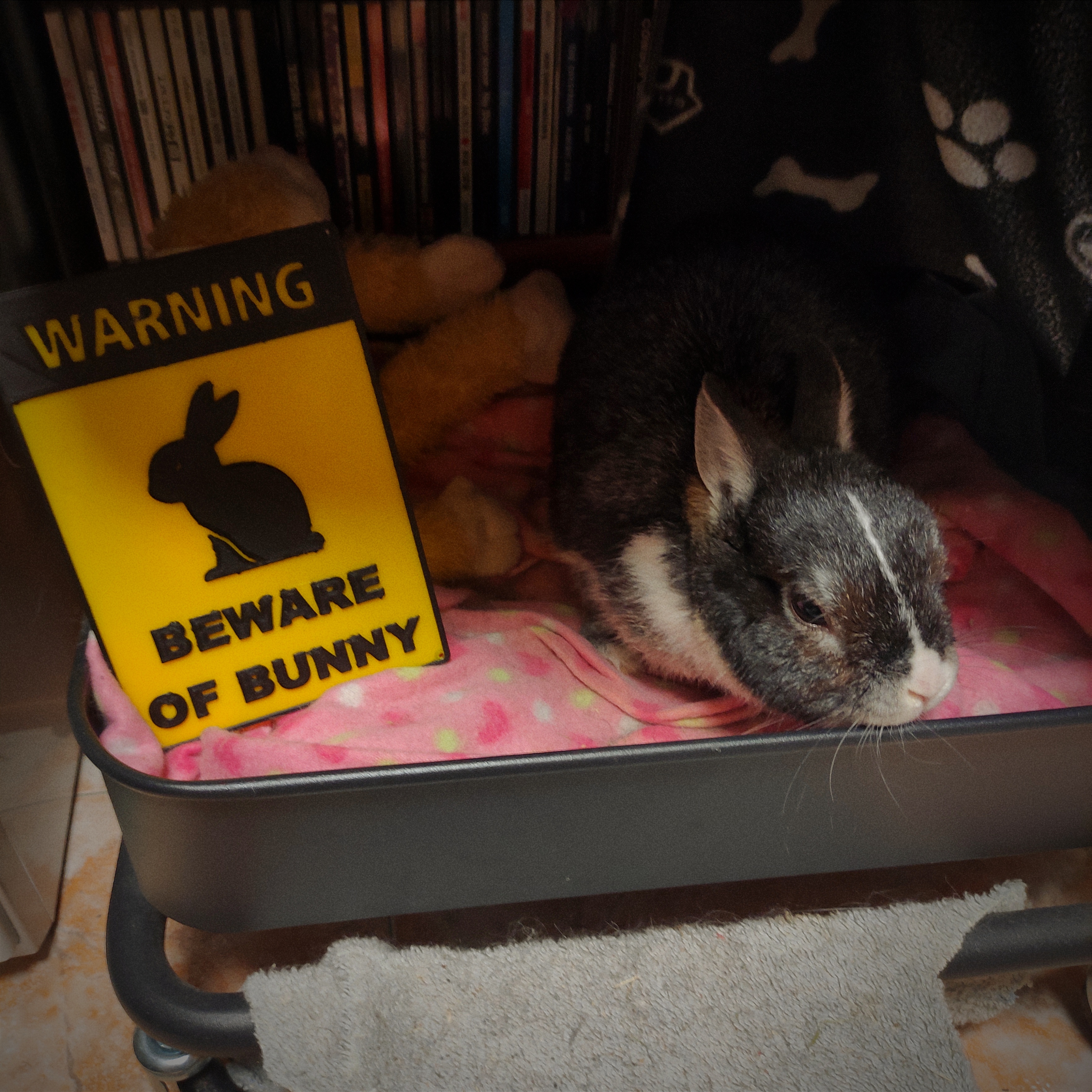 dangerous bunny sign