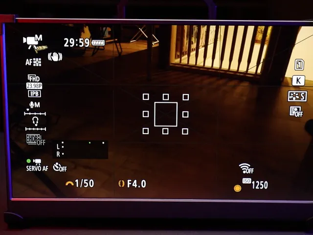 Wireless Camera Monitor