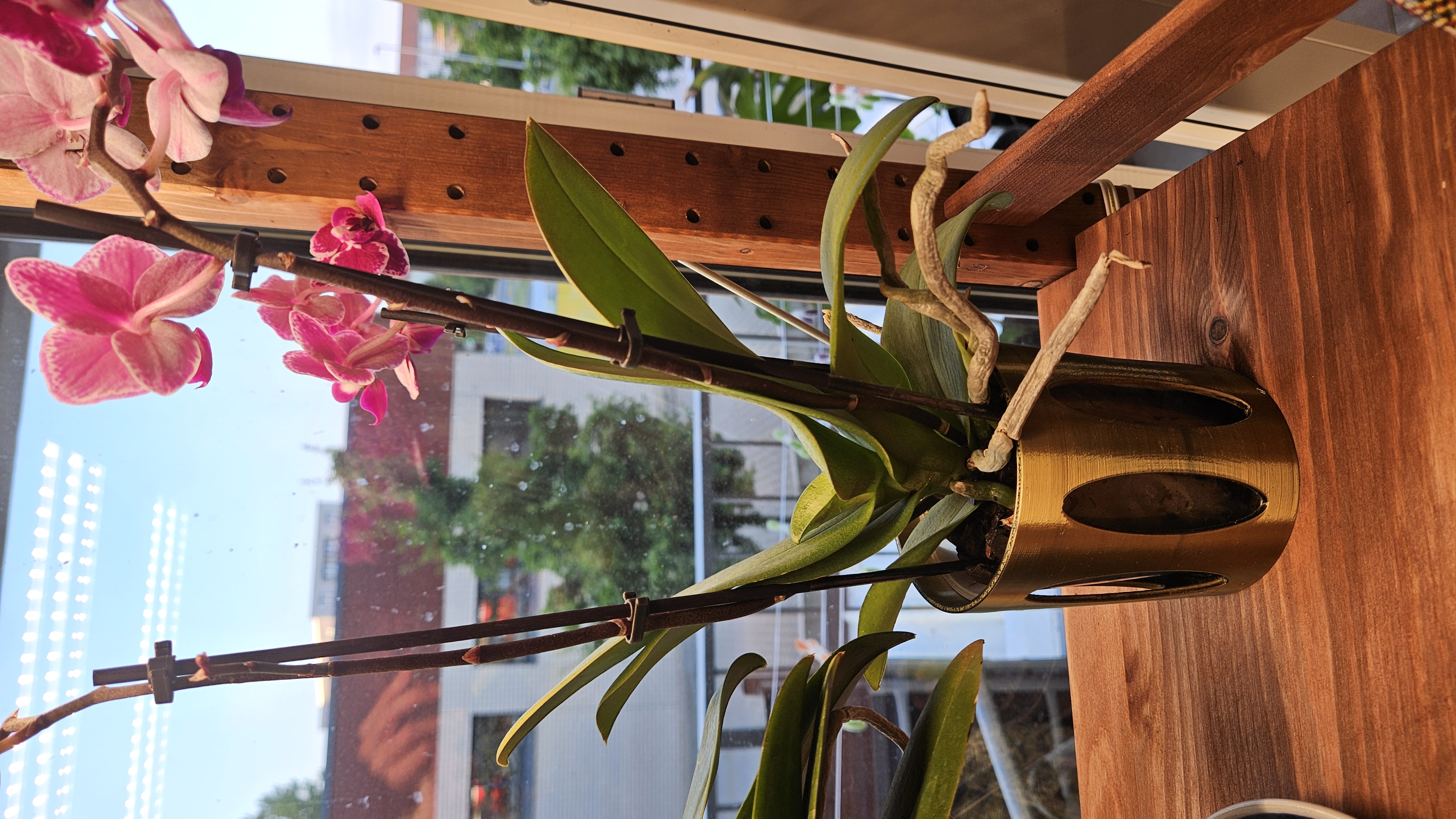 Cat proof orchid pot