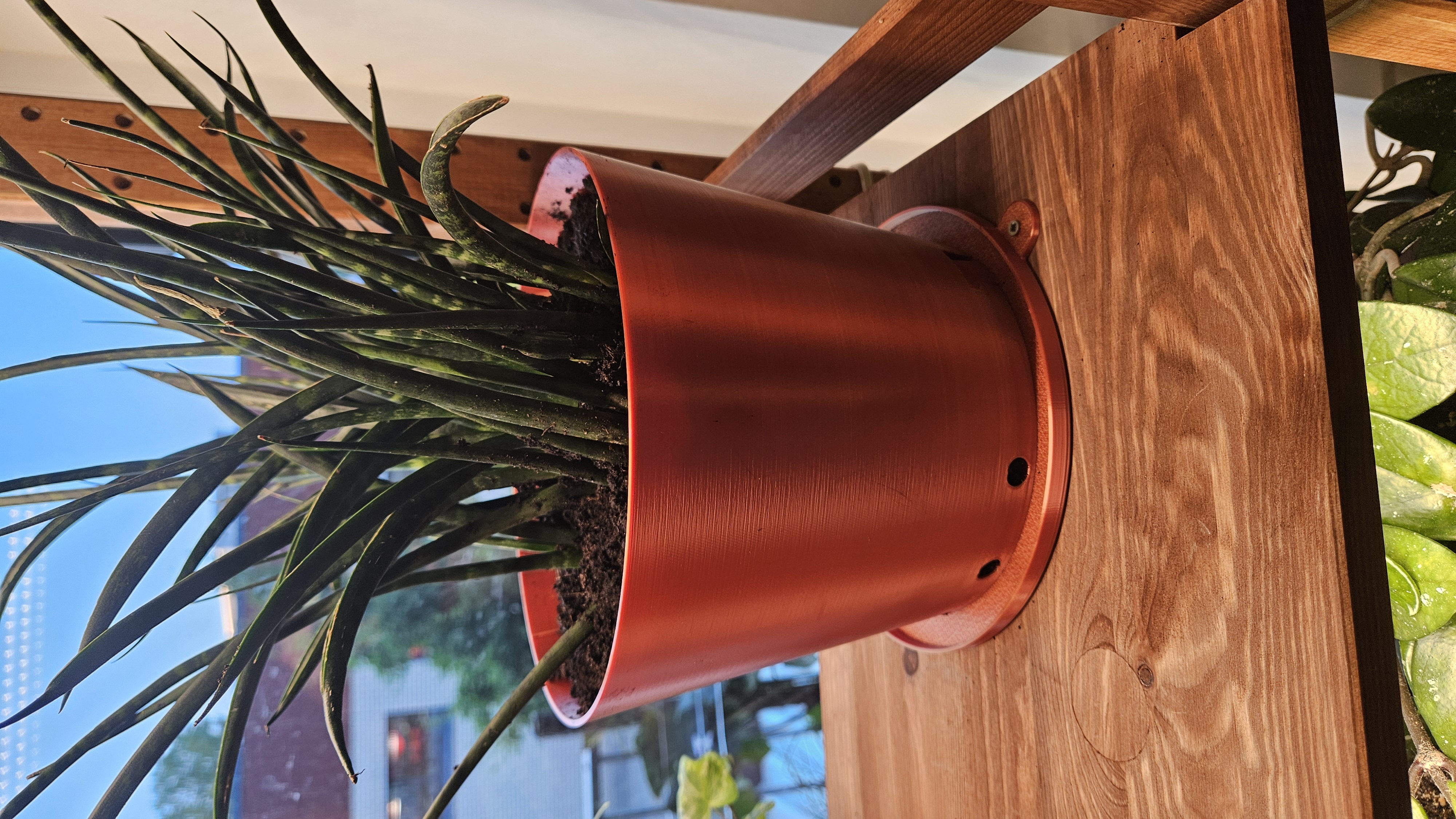 Cat proof plant pot