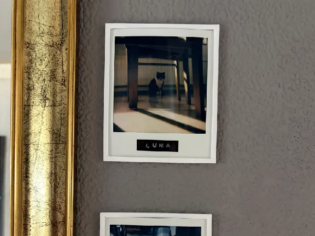 Minimal Polaroid Wall Frame with hidden nail