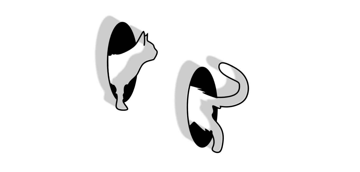 Cute Portal Cat Wall Art