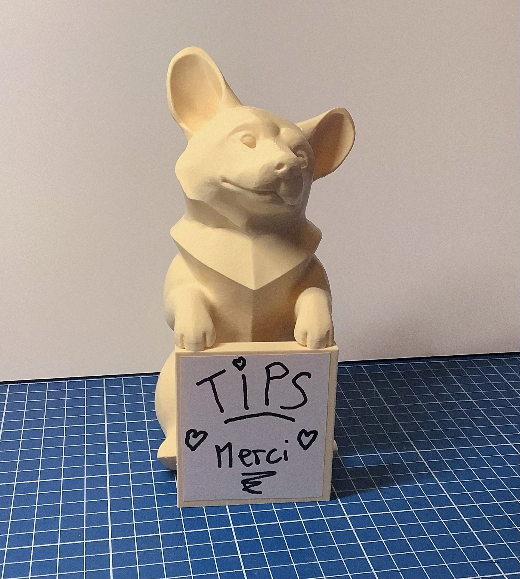 cute corgi for tips