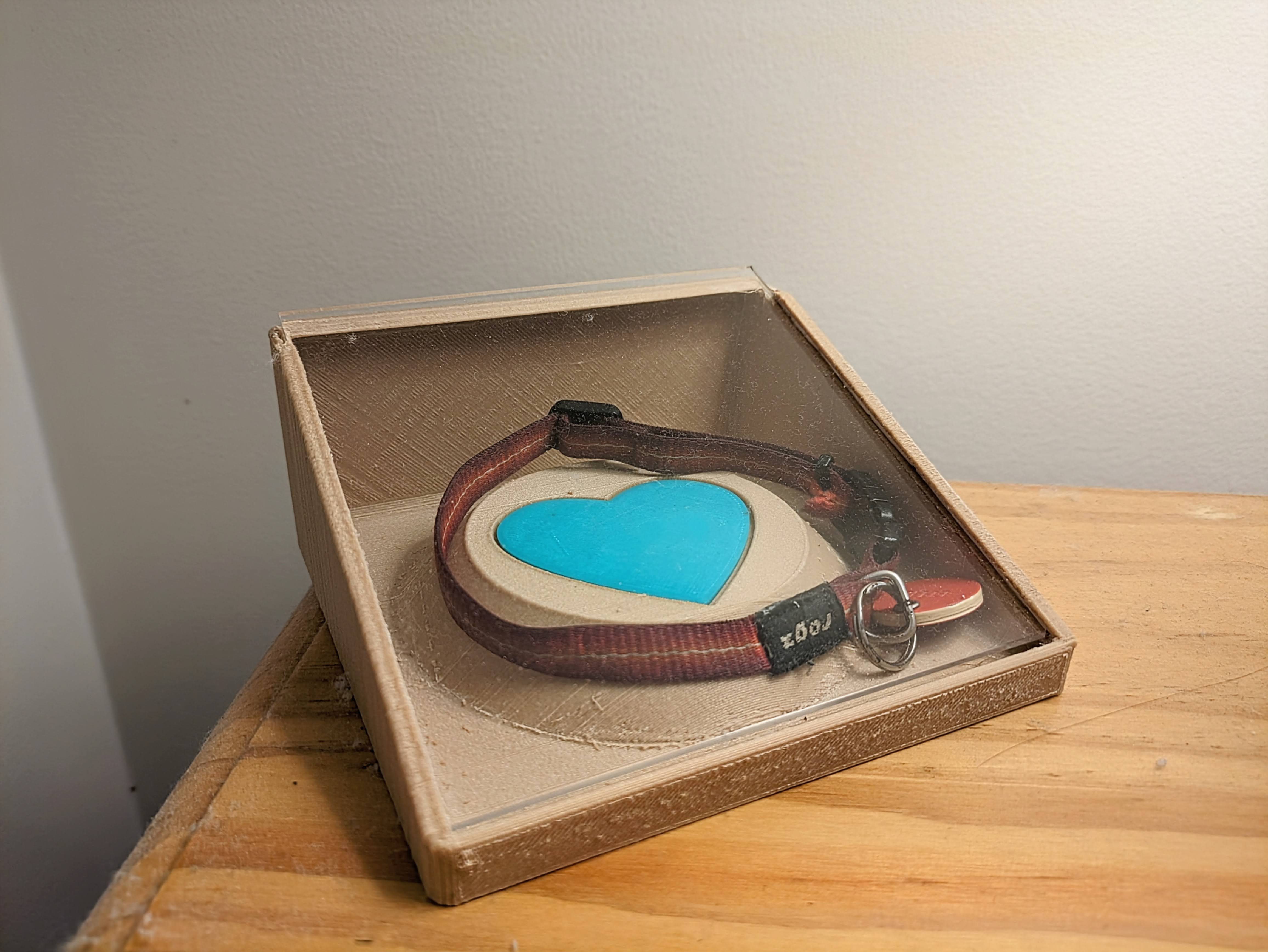 Precious Item Display box