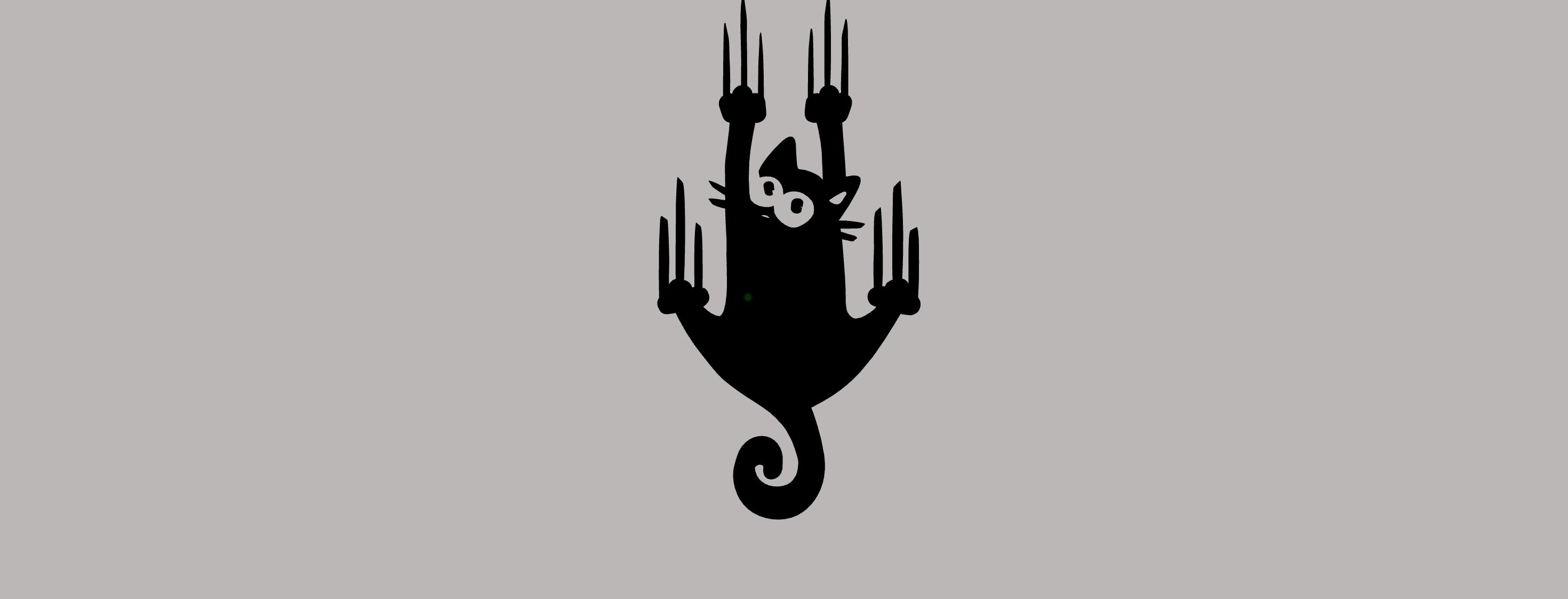 Slipping cat