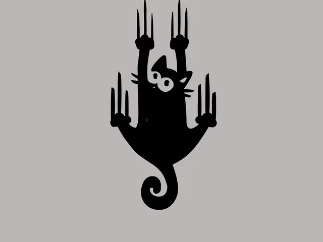 Slipping cat