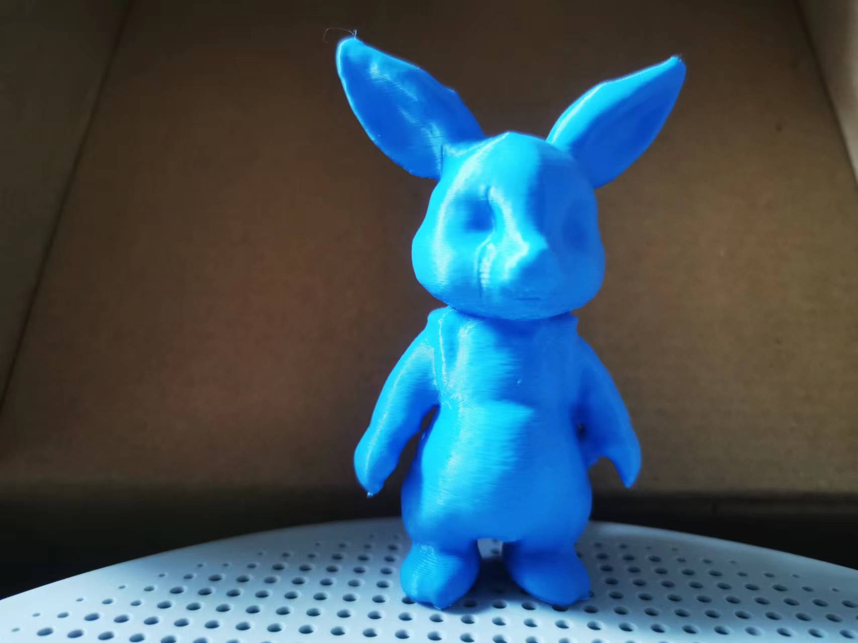Cute Bunny Dull