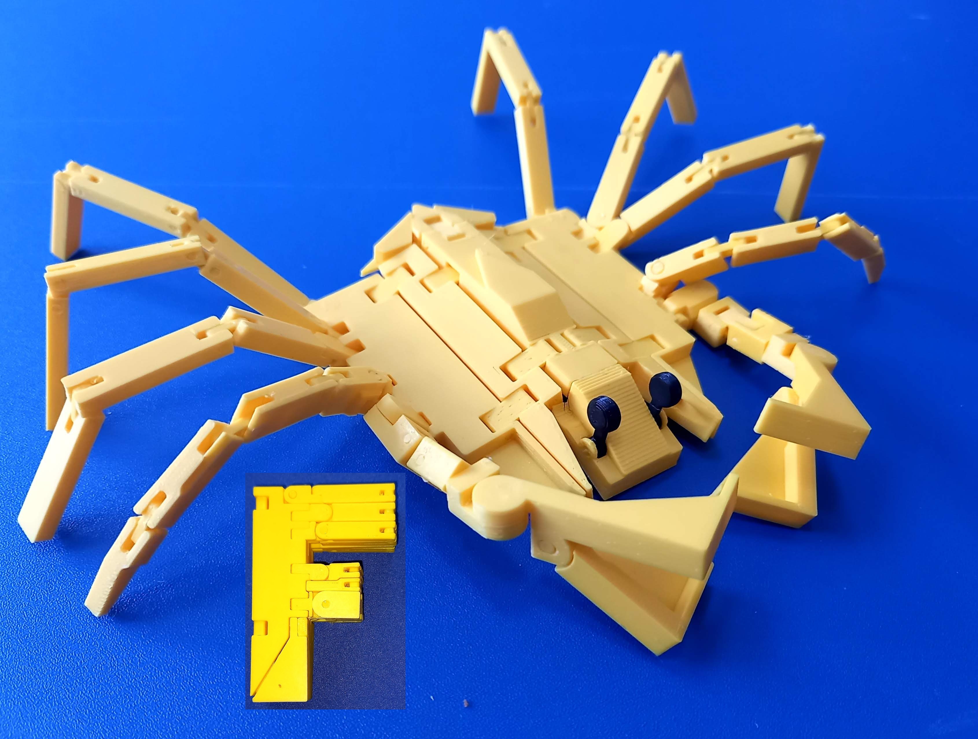 Jmenovka F krab