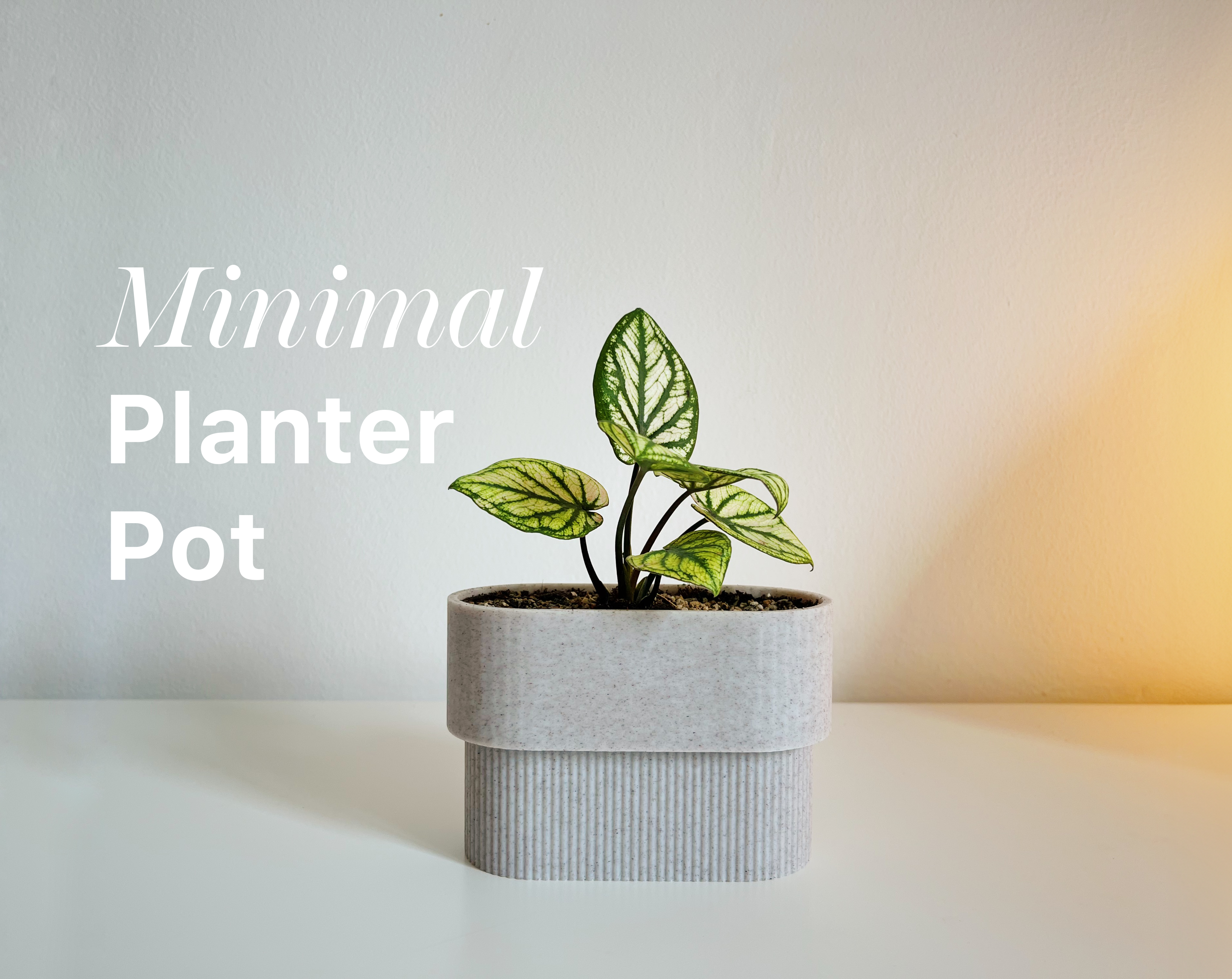 PLANTER POT MINI