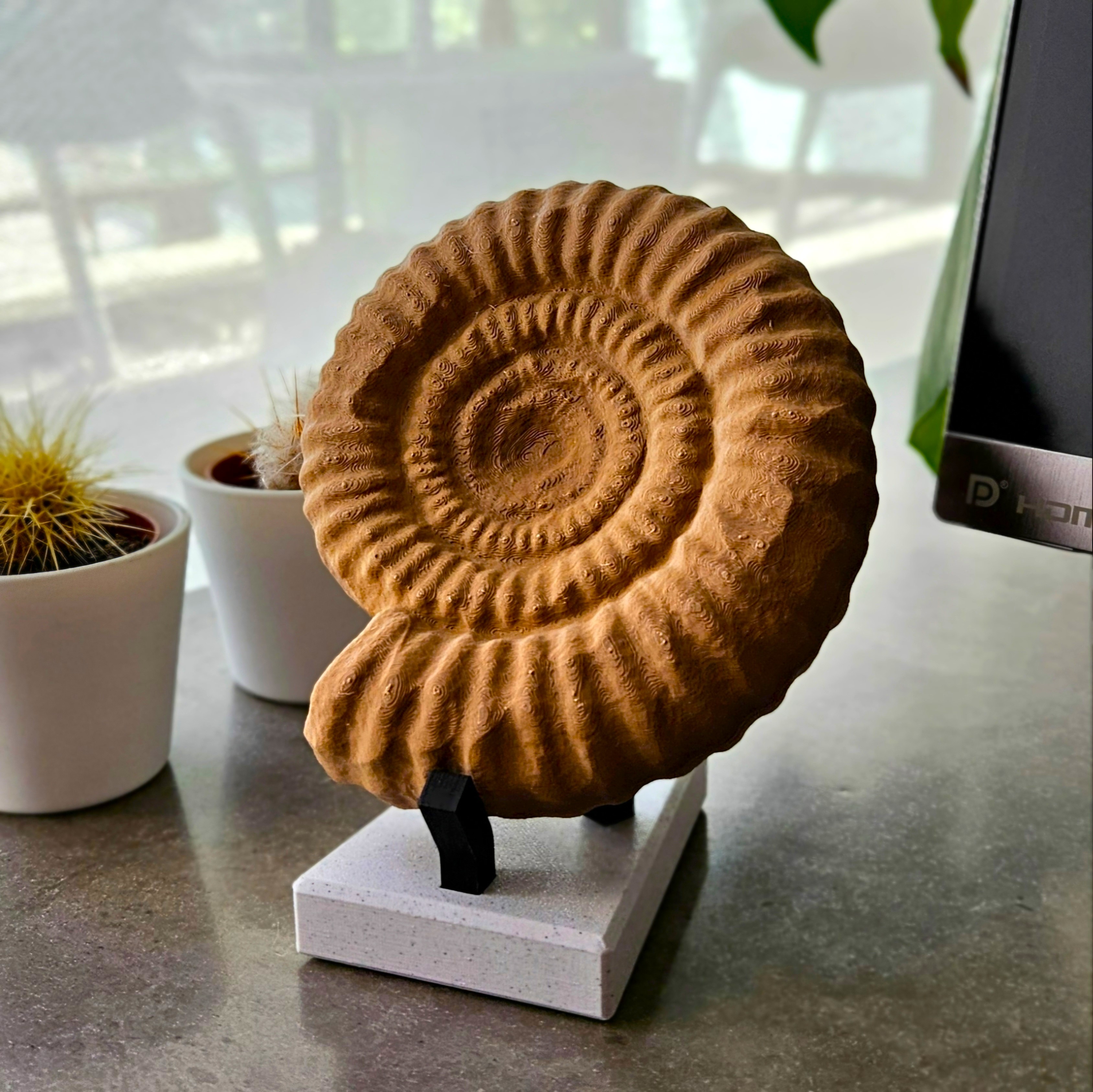 Ammonite sculpture by Colligo | Download free STL model | Printables.com