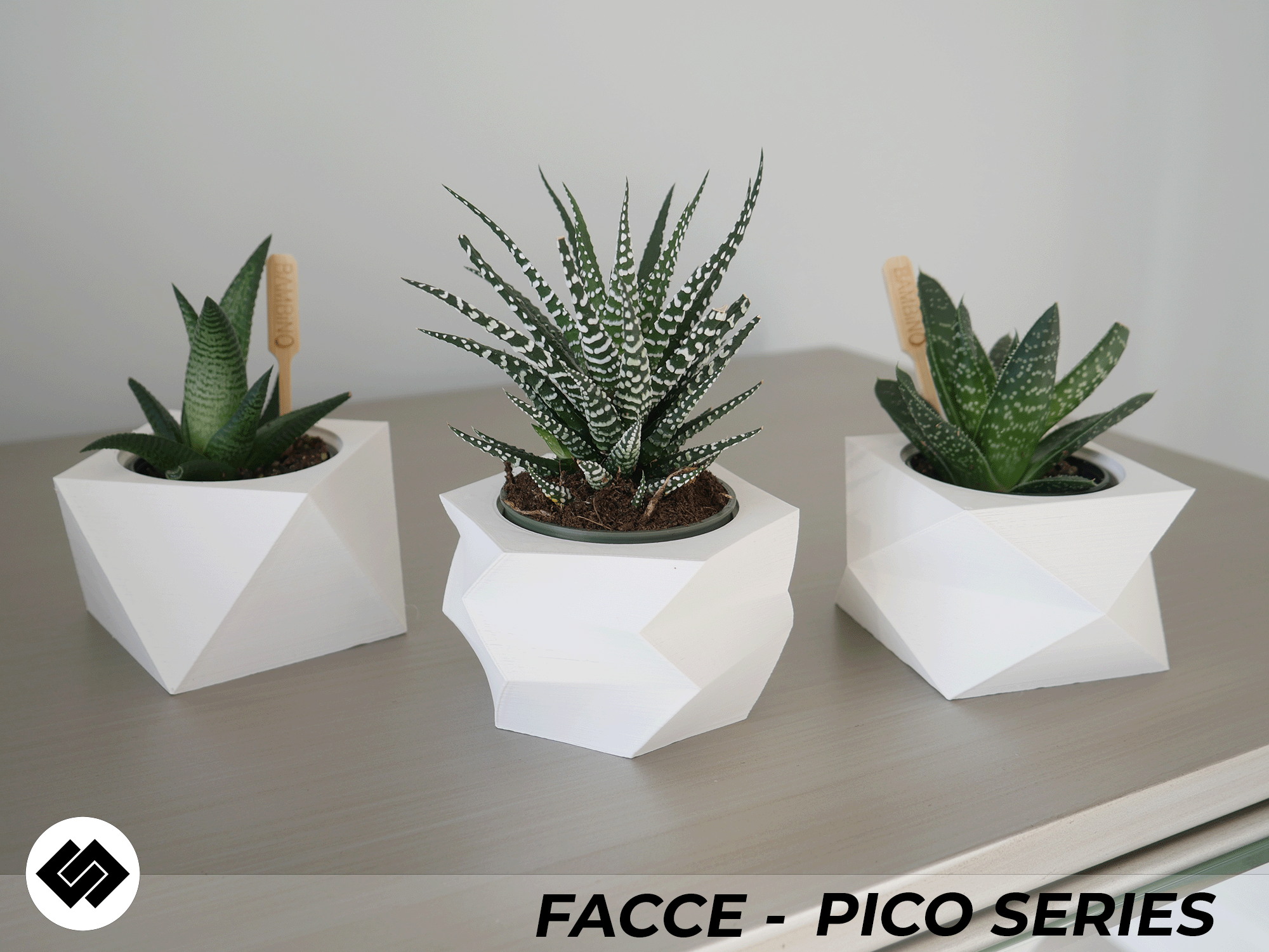 Facce Series Triple Planter Set