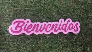 Cartel Bienvenidos 1