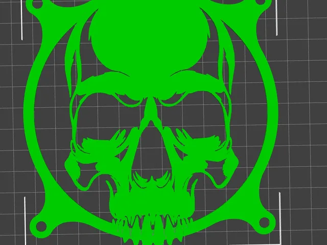 Skull