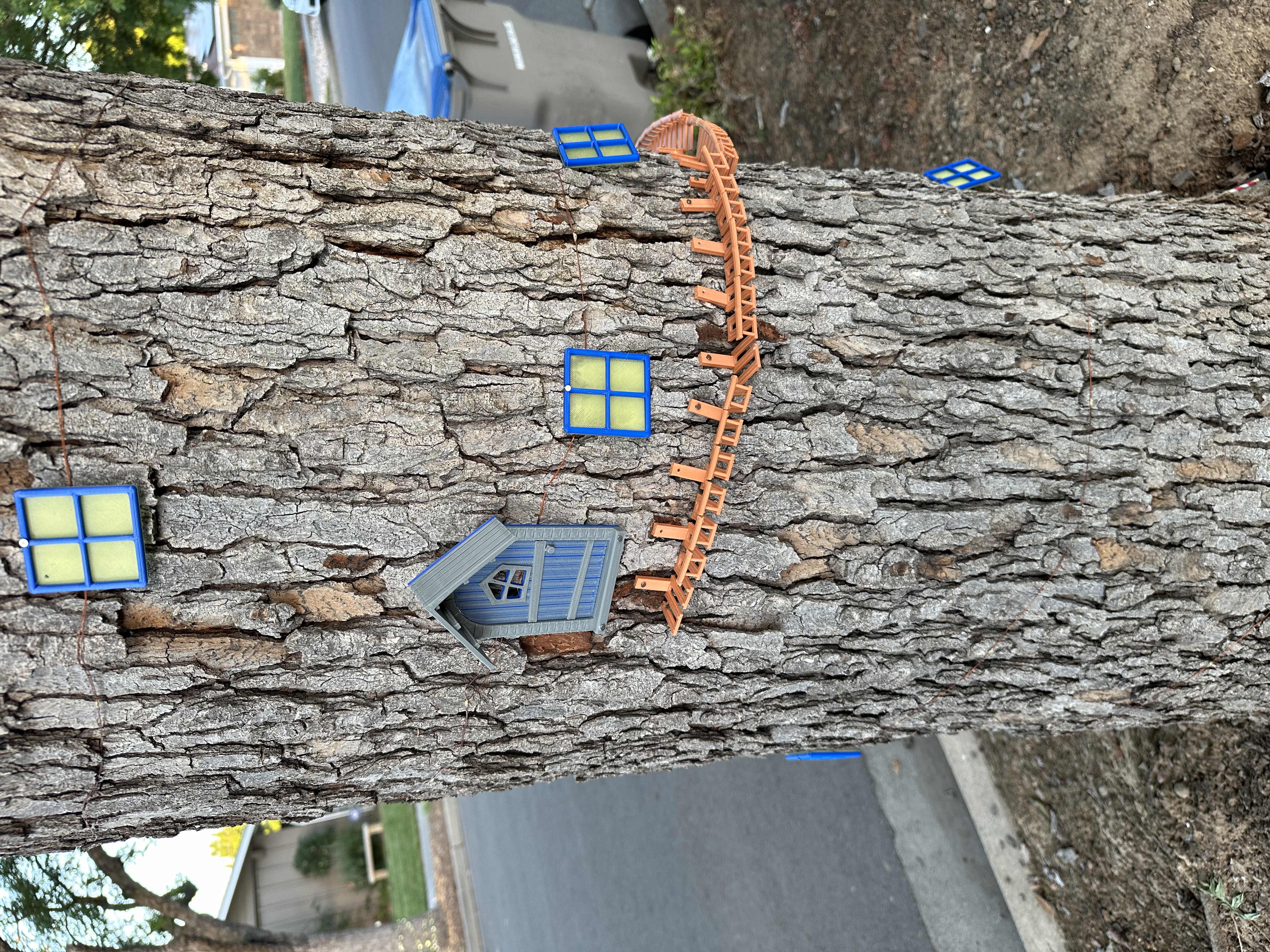 Fairy Tree Walkway