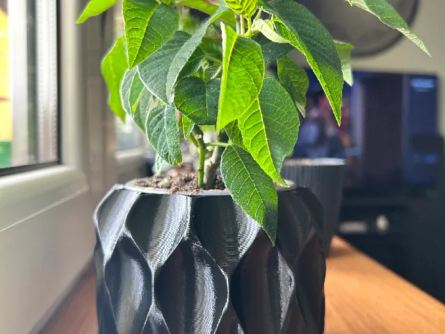 Pot vase (honeycomb)