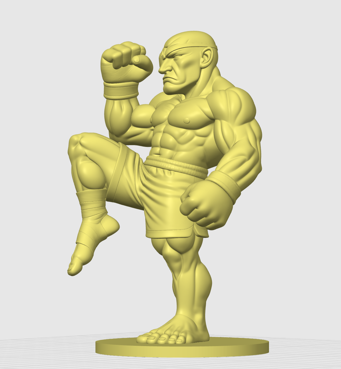 Sagat — miniatura 3