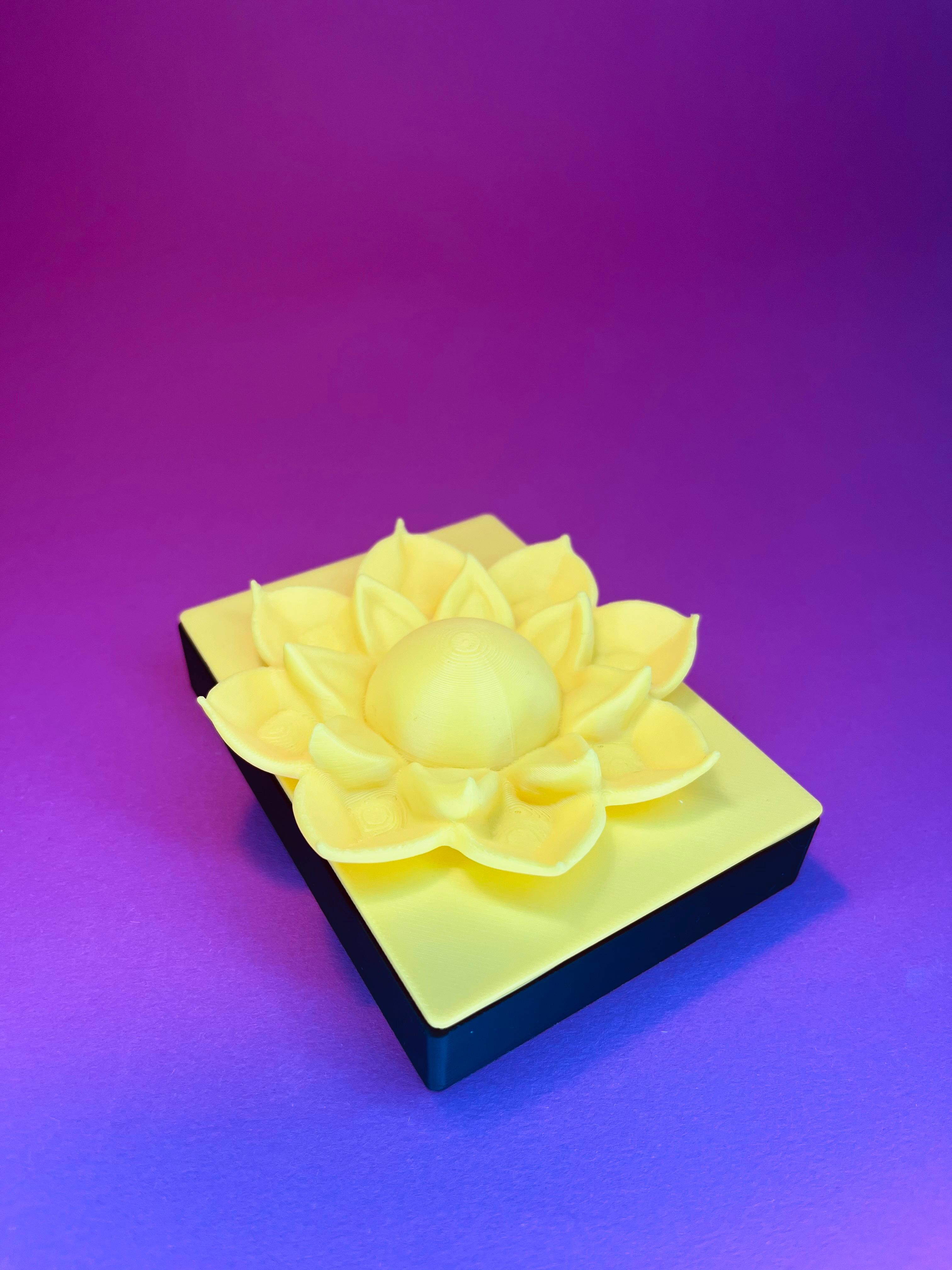 Lotus jewelry organizer & gift box