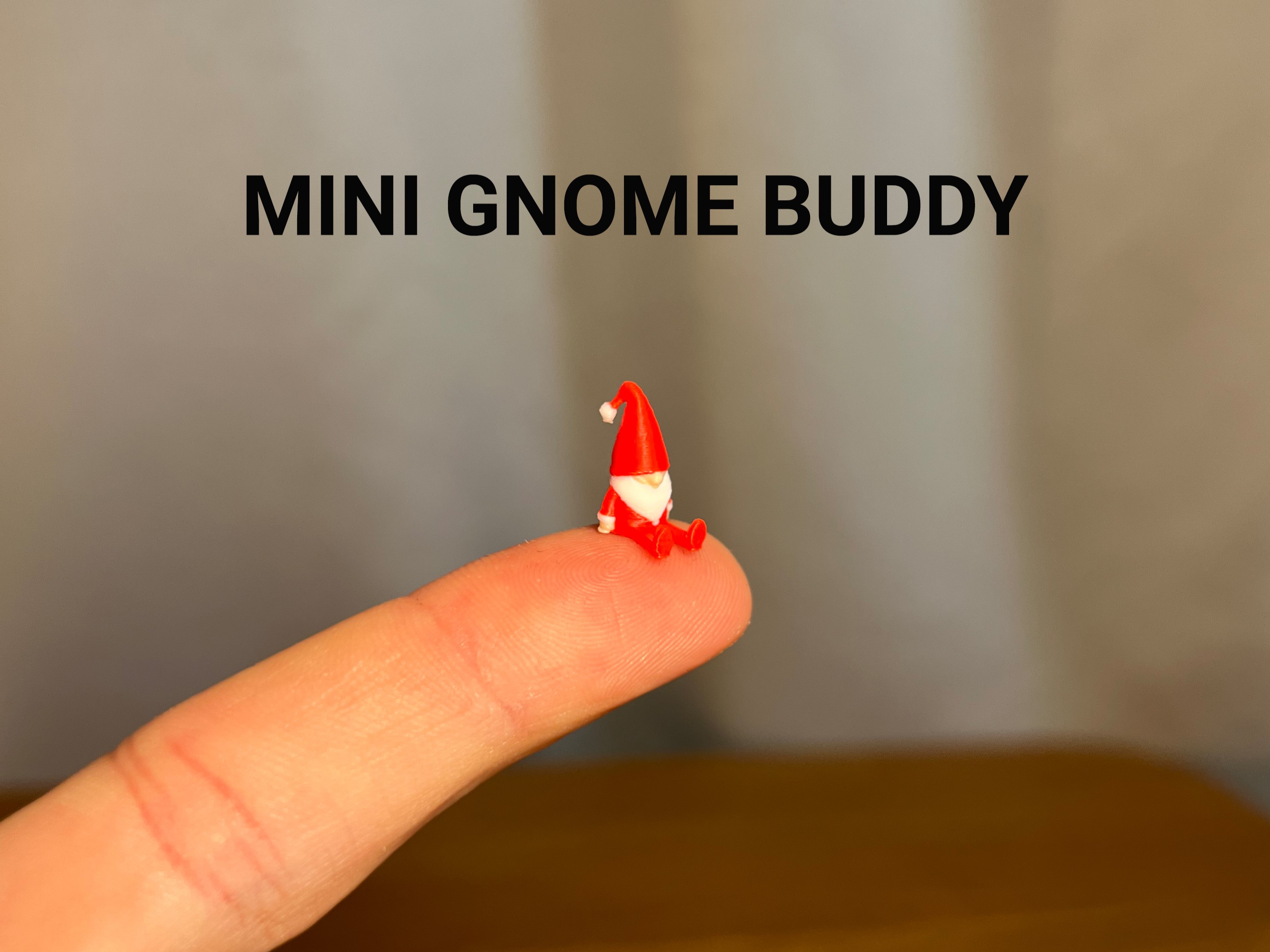 Mini Gnome Buddy