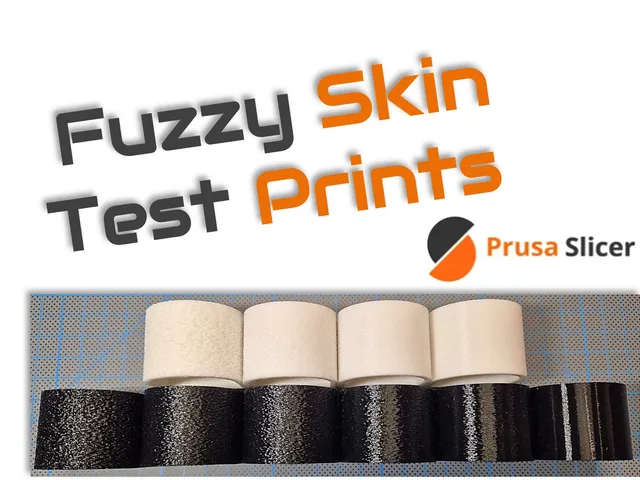 Test Print Fuzzy Skins