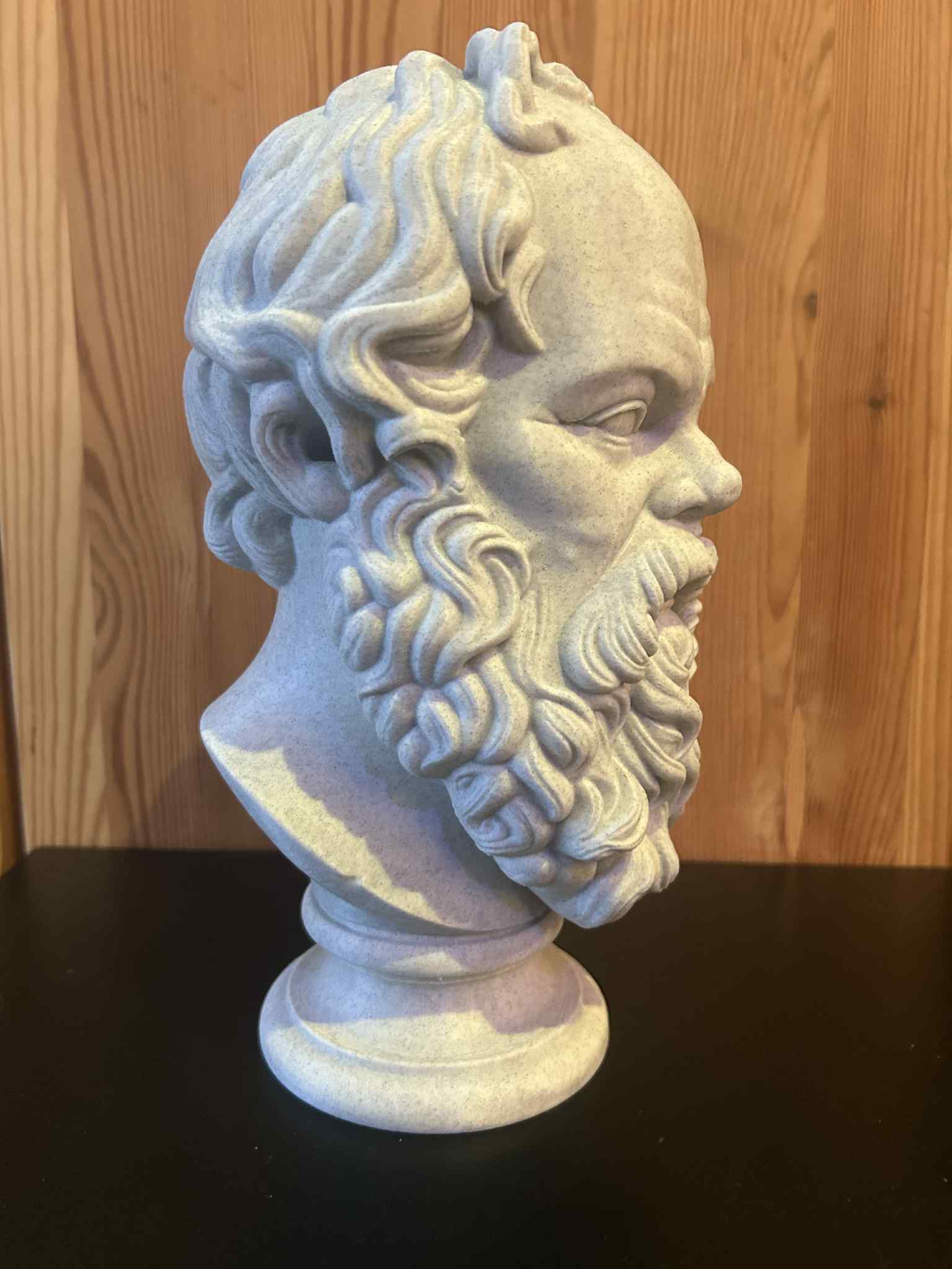 Socrates Bust — thumbnail 3