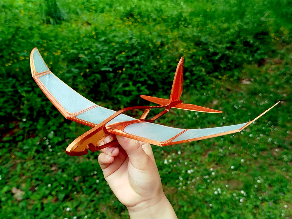 Jungle Boy 3D printable PLAne — miniatura 5