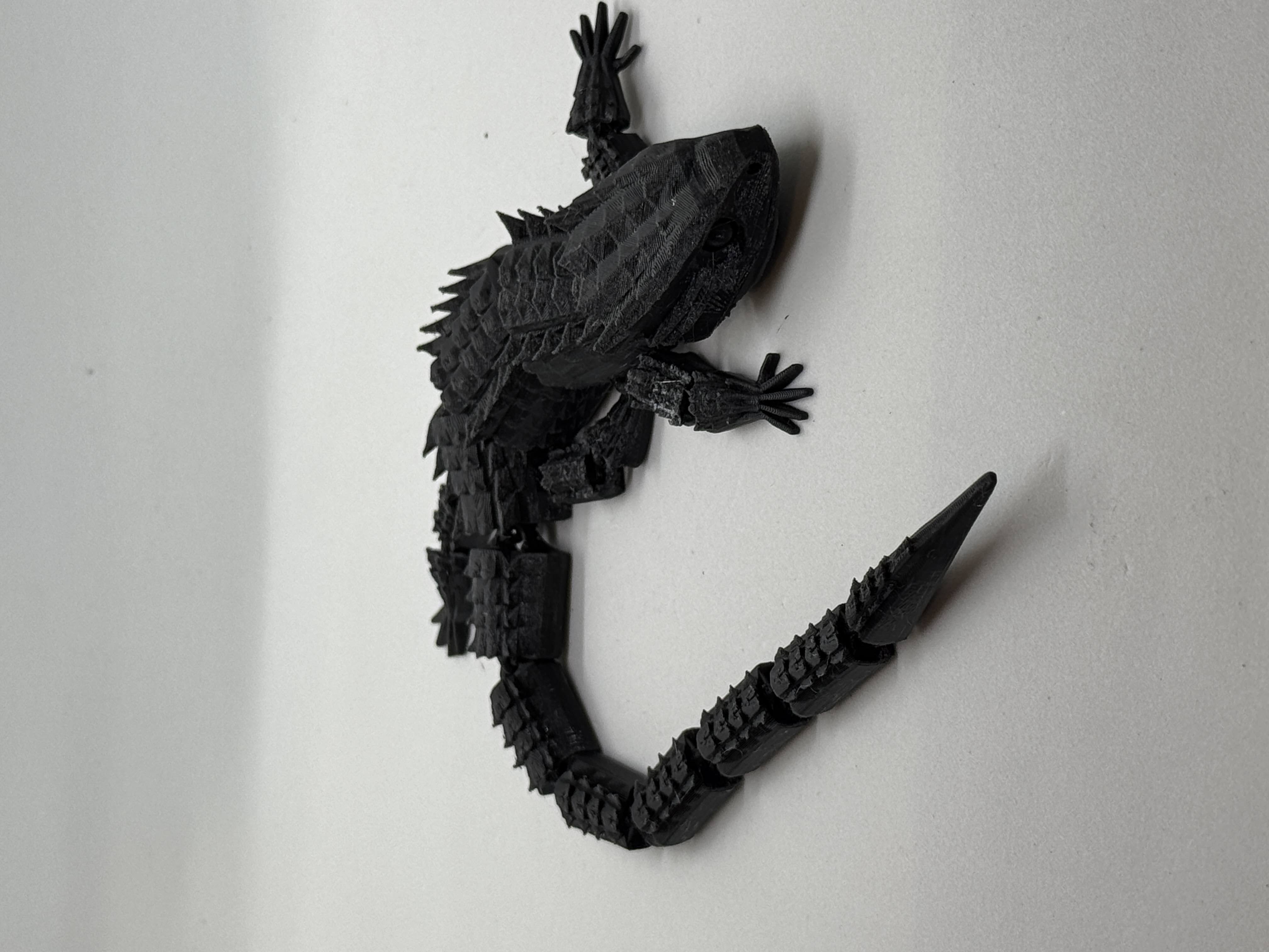 Lizard