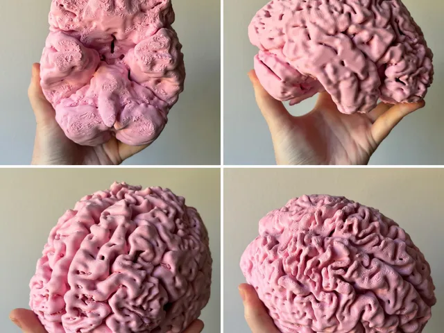 My Genuine Human Brain