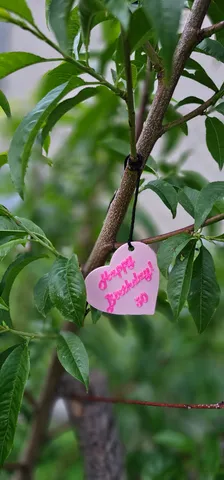 Happy Birthday! Heart Pendant / Herz Anhänger