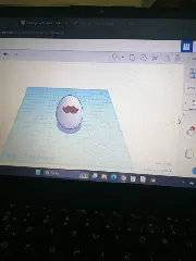 egg