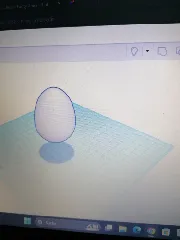 egg