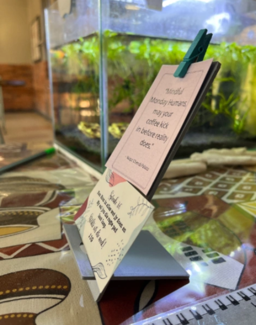 Card Display Holder