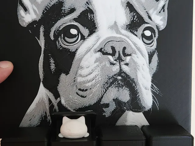 French Buldog Key Holder