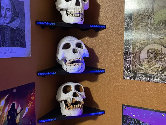 Corner Shelf for Skulls and Other Items