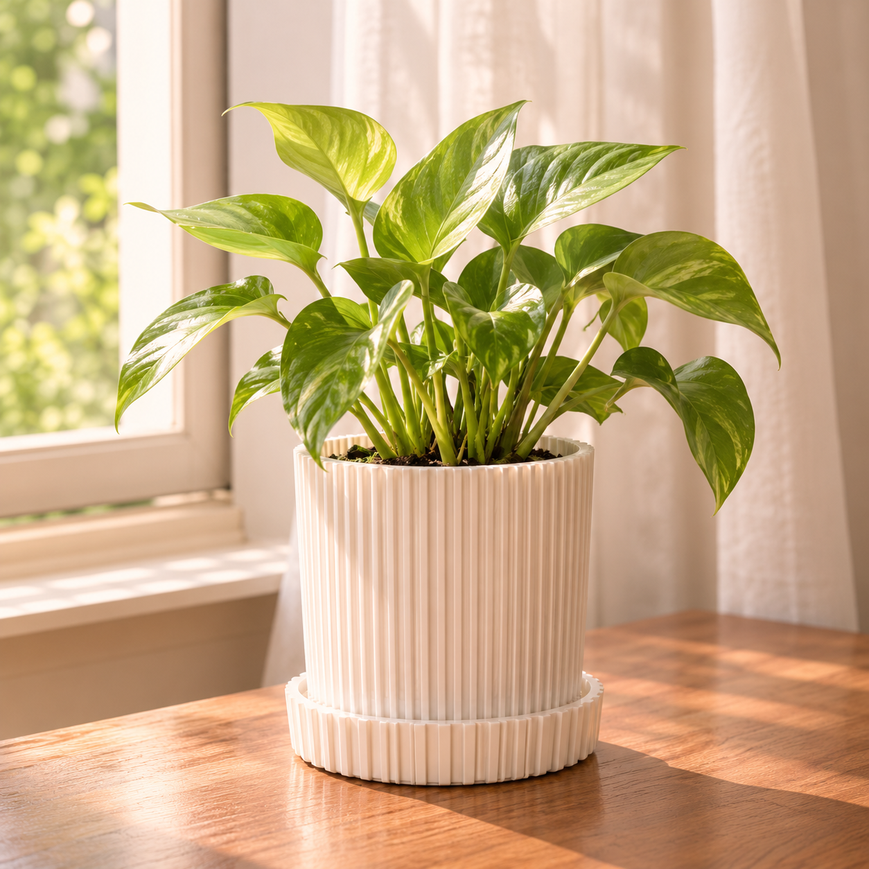 Ribbed Planter & Matching Saucer – Modern Minimalist Set