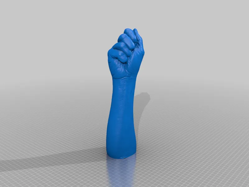 Fist of Fury Human Arm by SoulMate Santhosh | Download free STL model ...