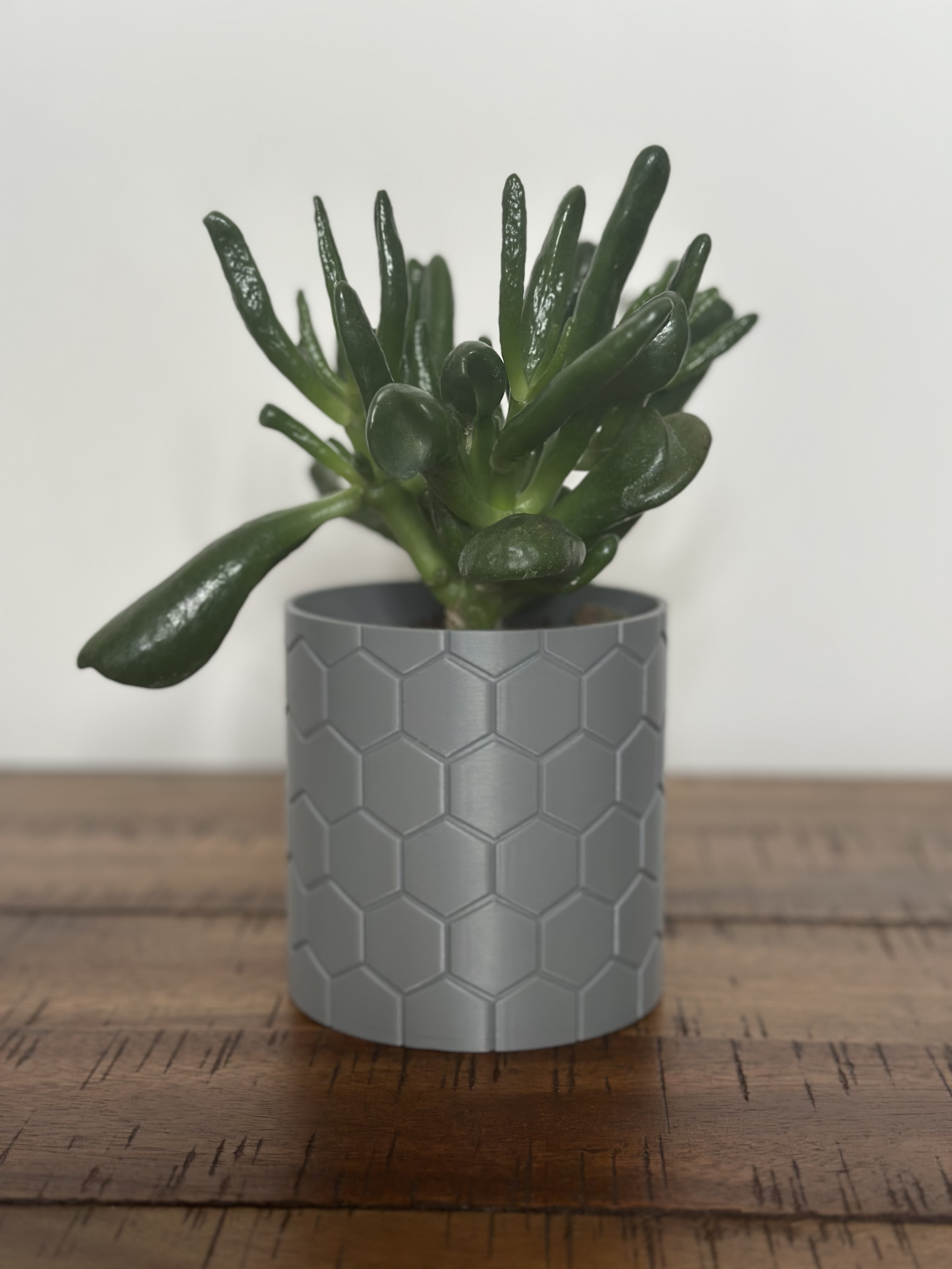Honeycomb Harmony 3D Printed Indoor Plant Pot - 5 Inch by BA 3D