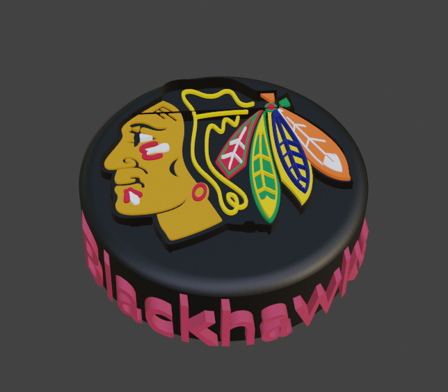 Chicago Blackhawks Hockey Puck